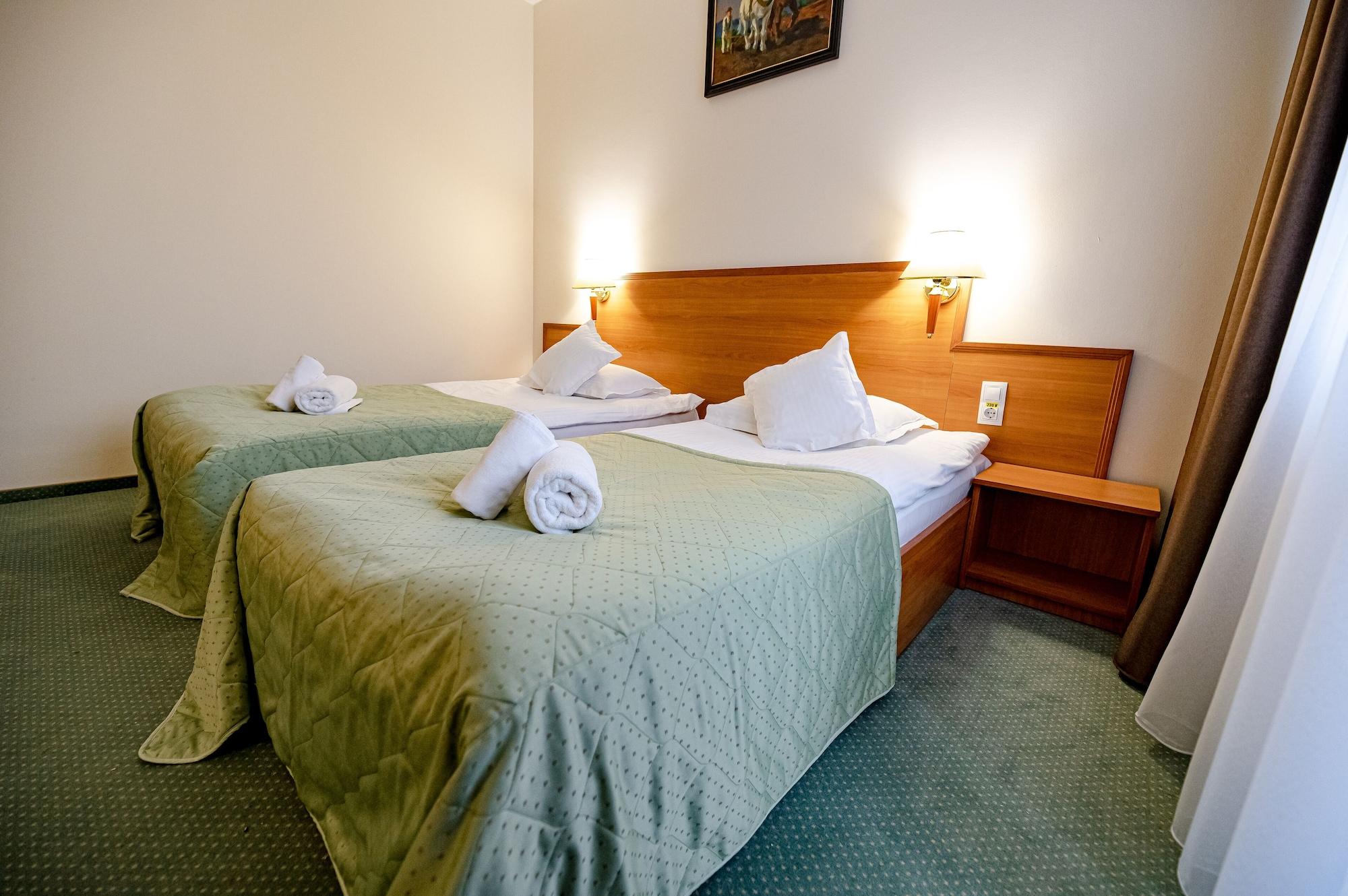 Hotel Rivulus Baia Mare Exteriör bild
