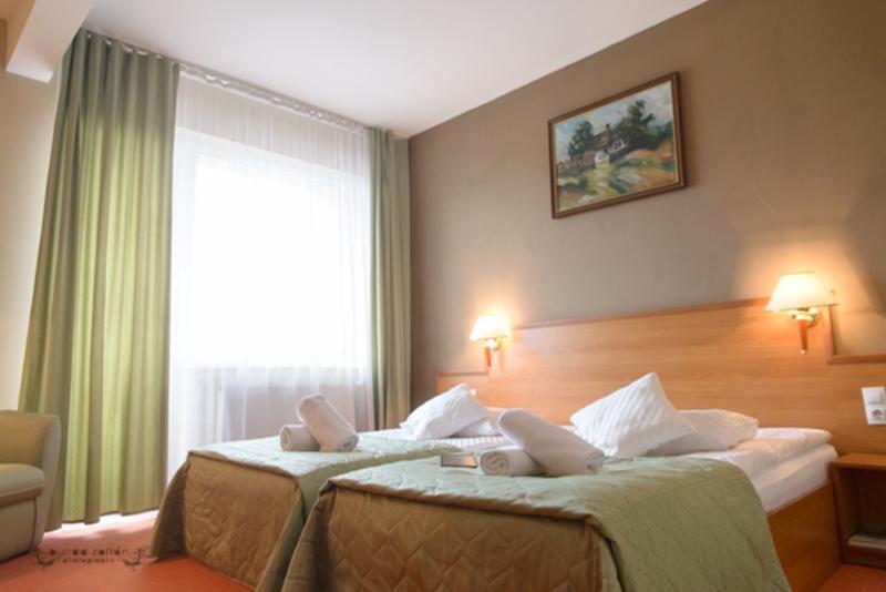 Hotel Rivulus Baia Mare Exteriör bild